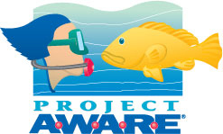 Project aware